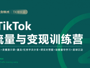 TikTok流量与变现训练营第五期 百度网盘下载-网盘下载